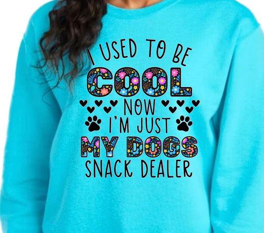 I USED TO BE COOL DTF SWEATSHIRT