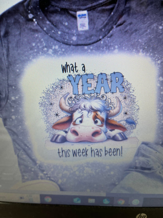 WHAT A YEAR BLEACHED T-SHIRT